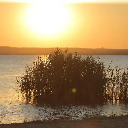 Scandinavia Hotel 4*