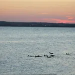 Scandinavia 4*